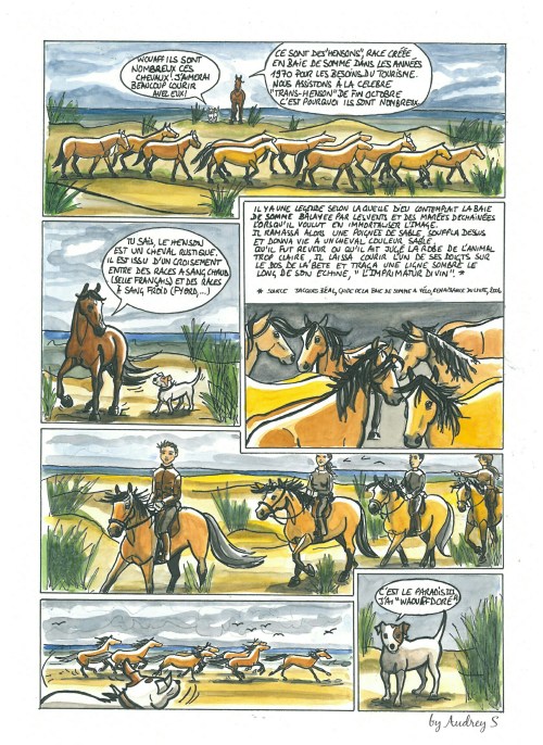 Qalo & Lolotte - Baie de Somme - Bande dessinée by Audrey S