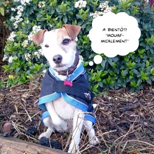 A bientôt "Wouafmicalement"