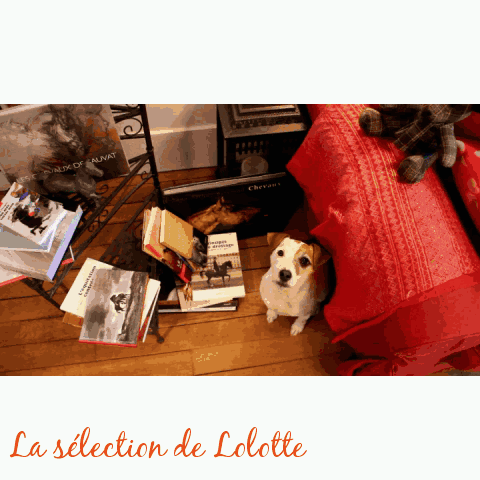 La Sélection de Lolotte.gif