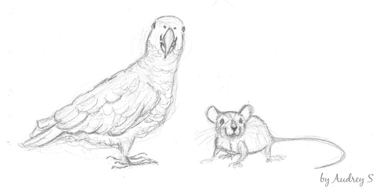 Cavalcade des blogs n° 29 - Coco et la petite Souris by Audrey S