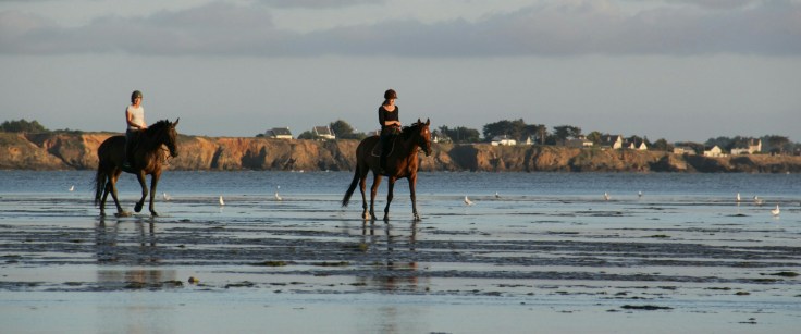 Baie du Palendrin_Qalo et Lolotte