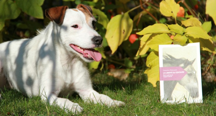 Sélection de Lolotte - La liberté du Centaure