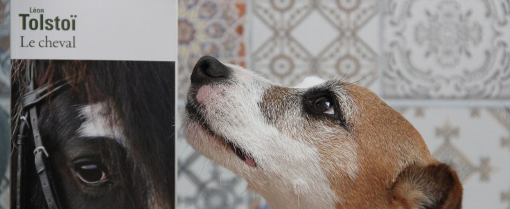 le-cheval-de-tolstoi_-la-selection-de-lolotte_livres
