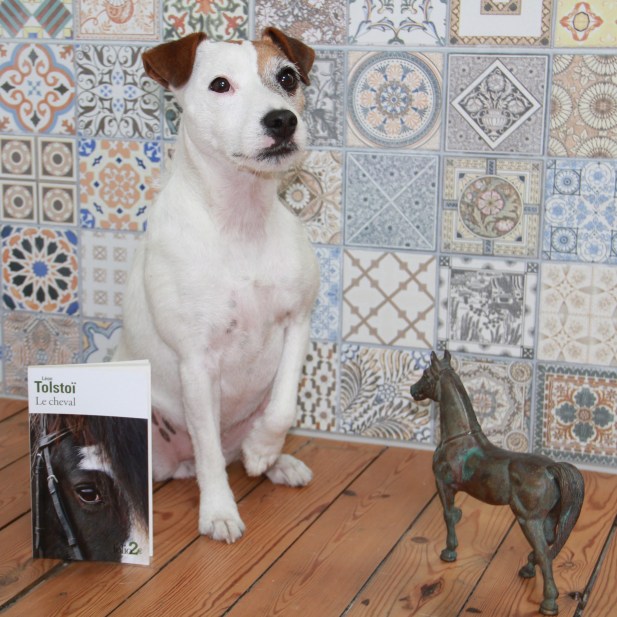 le-cheval-de-tolstoi_-la-selection-de-lolotte_livres4