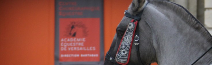 academie-equestre-de-versailles-la-voie-de-lecuyer-by-audrey-s