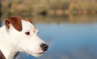 la-selection-de-lolotte-continuer-de-laurent-mauvignierphoto-by-audrey-s-9