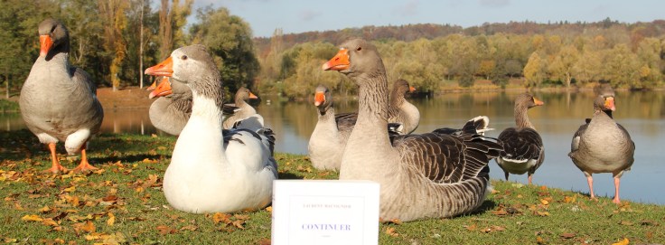 la-selection-de-lolotte-continuer-de-laurent-mauvignierphoto-by-audrey-s