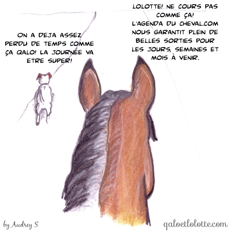 agenda-du-cheval-qalo-lolotte-10-by-audrey-s