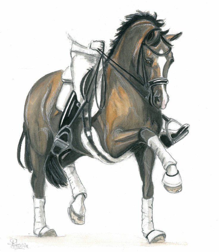 dressage-valegro-by-audrey-s-2