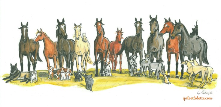 qalo-et-lolotte-anniversaire-1-an-du-blog-by-audrey-s-1-3