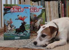 qalo-et-lolotte-bd-triple-galop-benoit-du-peloux-by-audrey-s-2