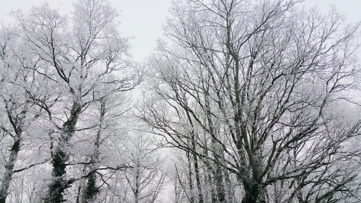 qalo-lolotte-what-a-wonderfulworld-by-audrey-s-2-2