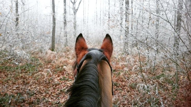 qalo-lolotte-what-a-wonderfulworld-by-audrey-s-6