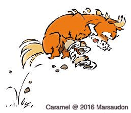 caramel-p-marsaudon-4