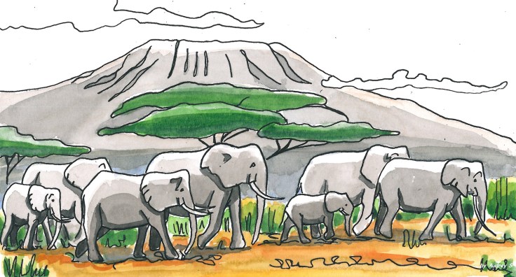qalo-et-lolotte-en-afrique-episode-4-aquarelle-by-audrey-s-1-2