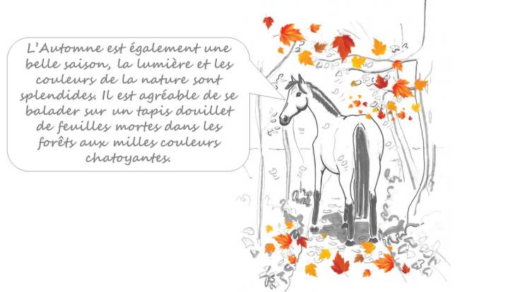 qalo-et-lolotte-liebster-award-by-audrey-s-2