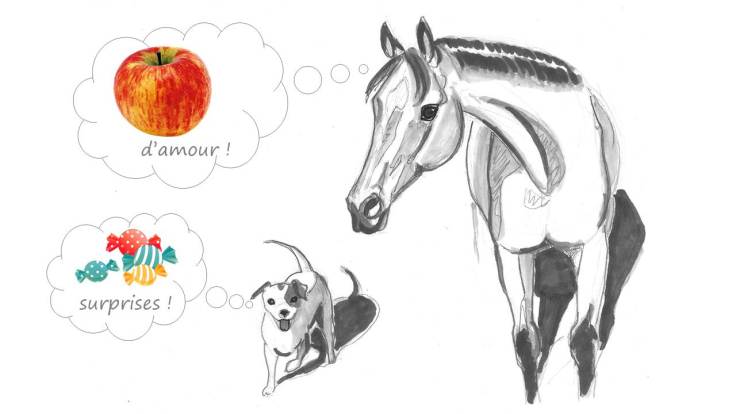 qalo-et-lolotte-liebster-award-by-audrey-s-7