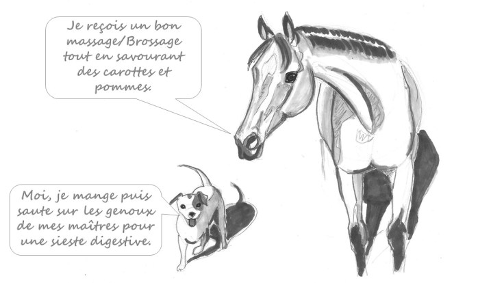 qalo-lolotte-_-liebster-award-1