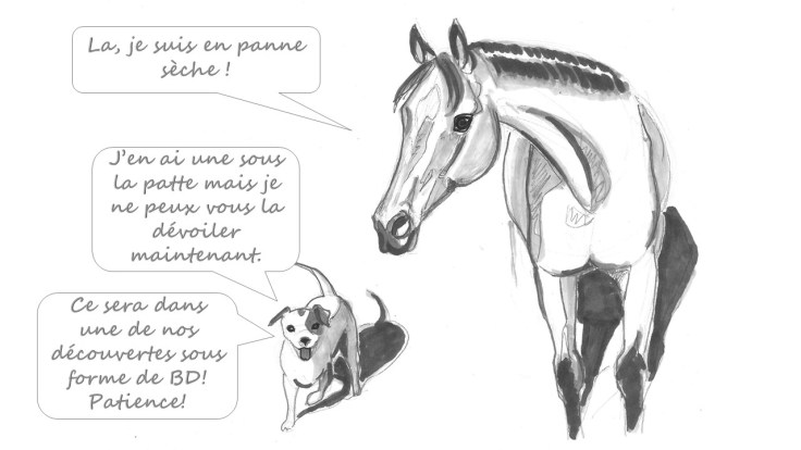 qalo-lolotte-_-liebster-award-12