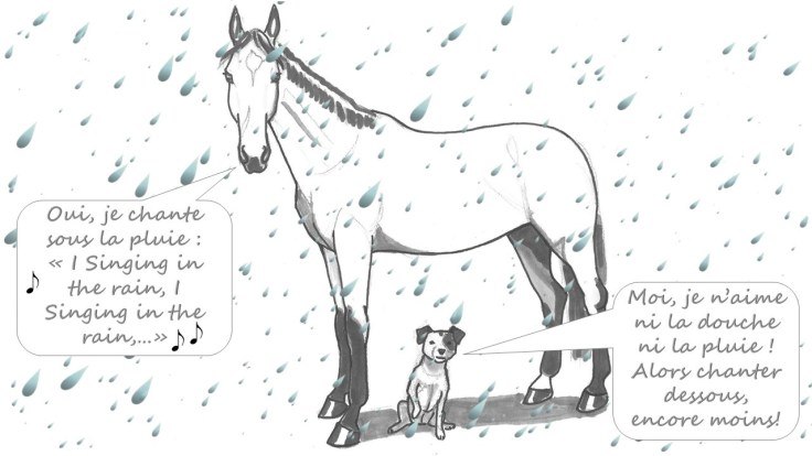 qalo-lolotte-_-liebster-award-17