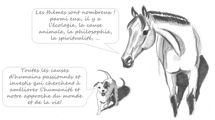 qalo-lolotte-_-liebster-award-2