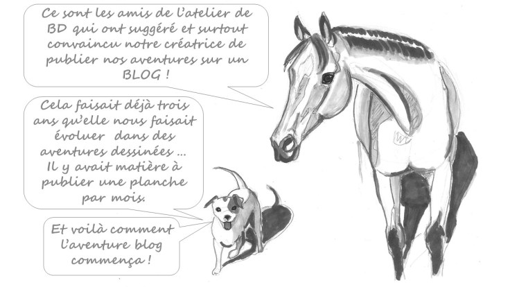 qalo-lolotte-_-liebster-award-3