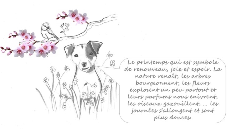 qalo-lolotte-_-liebster-award-5