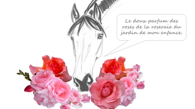 qalo-lolotte-_-liebster-award-6