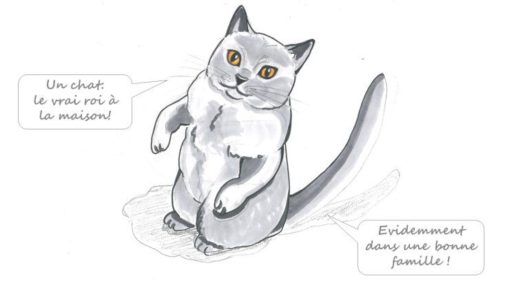 qalo-lolotte-_-liebster-award-9