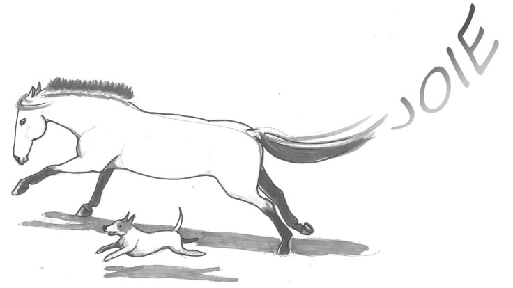 qalo-lolotte-_-liebster-award-by-audrey-s-16