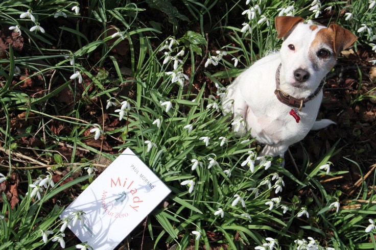 Qalo & Lolotte_Milady_by Audrey S 4