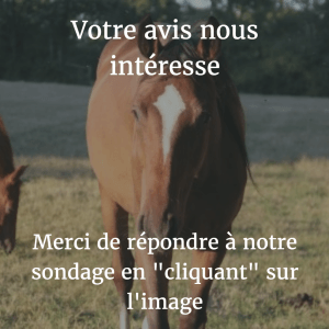 Sondage Haras de Kerellen