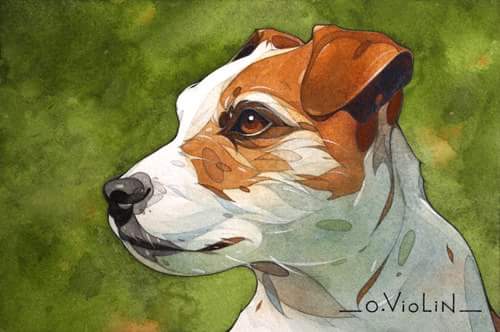 Lolotte aquarelle © Olivier Violin